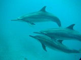 Pousada em Fernando de Noronha